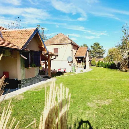 Dvor Villa Donja Toponica Exteriör bild