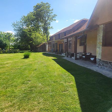 Dvor Villa Donja Toponica Exteriör bild