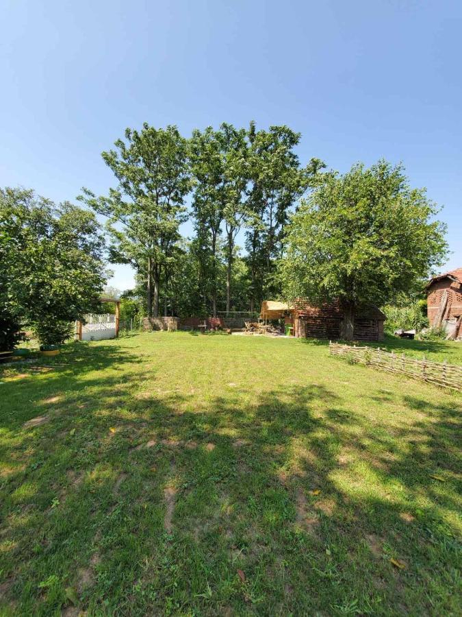 Dvor Villa Donja Toponica Exteriör bild