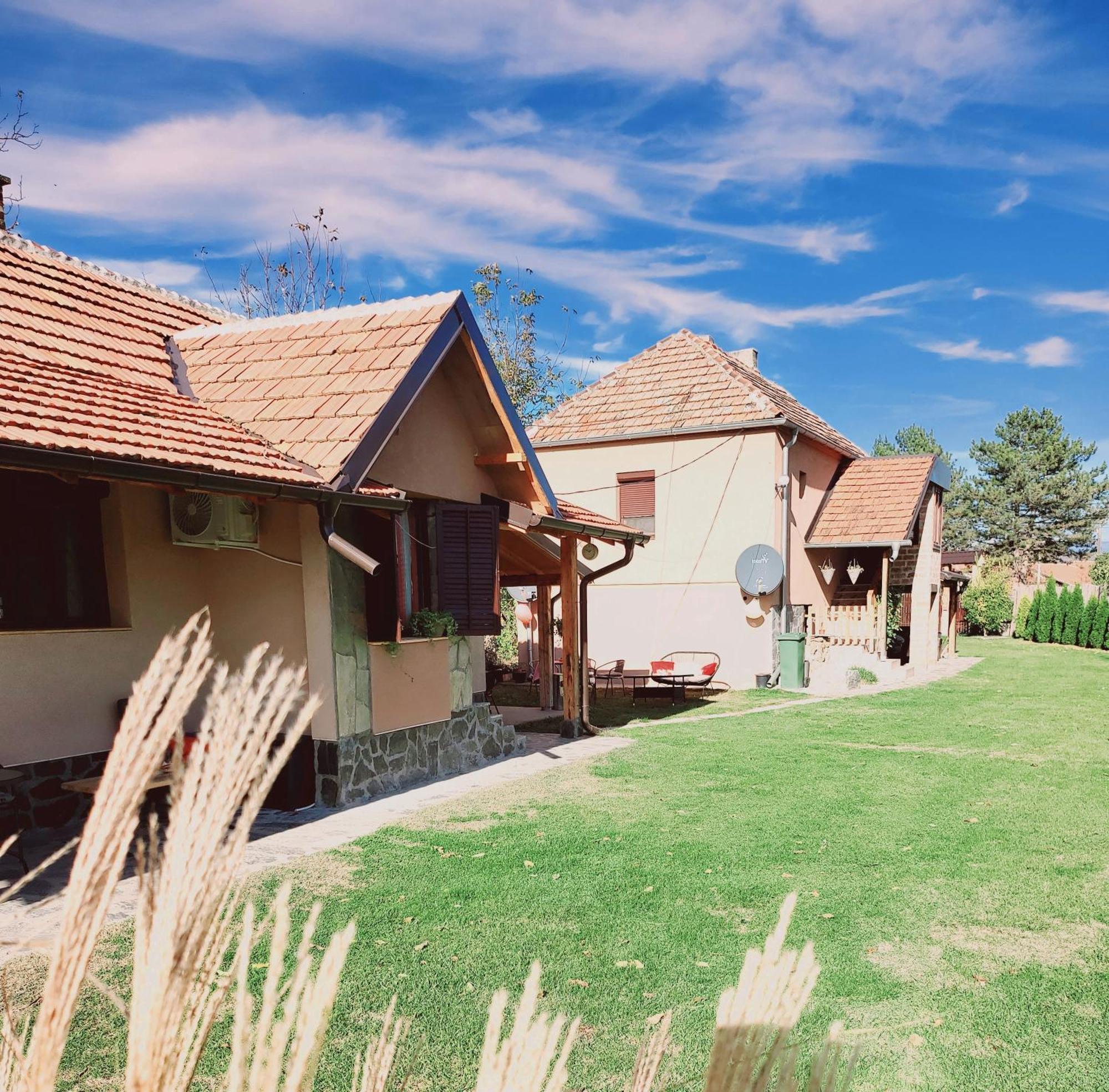 Dvor Villa Donja Toponica Exteriör bild